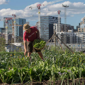 Oslo European Green 2019